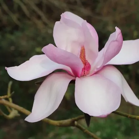 Villa Damson Gate Dog-friendly