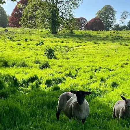 Damson Gate Dog-friendly Waterford