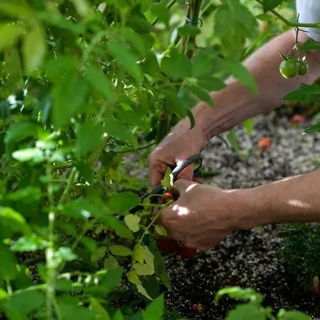 Damson Gate Dog-friendly Villa