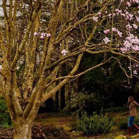 Damson Gate Dog-friendly Waterford