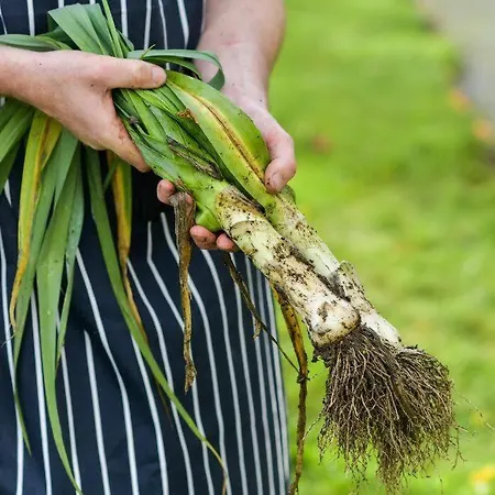 Damson Gate Dog-friendly Villa