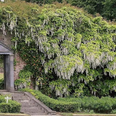 Villa Damson Gate Dog-friendly *