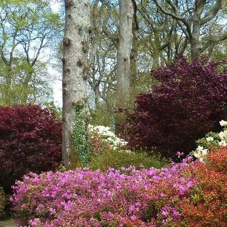 Villa Damson Gate Dog-friendly