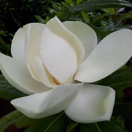 Villa Damson Gate Dog-friendly *