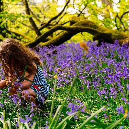 Villa Damson Gate Dog-friendly Waterford