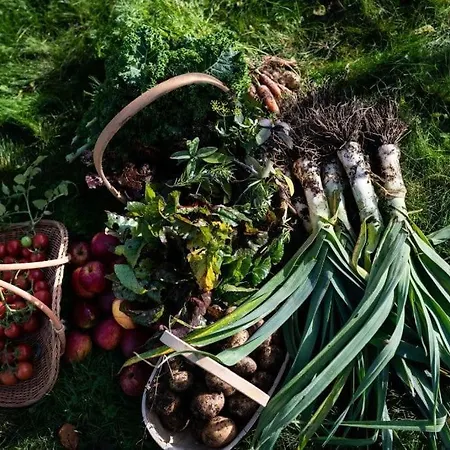 Damson Gate Dog-friendly Villa Waterford