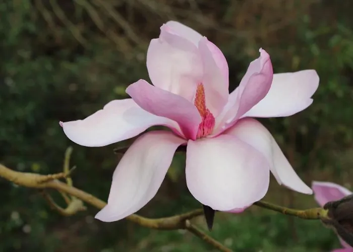 Villa Damson Gate Dog-friendly