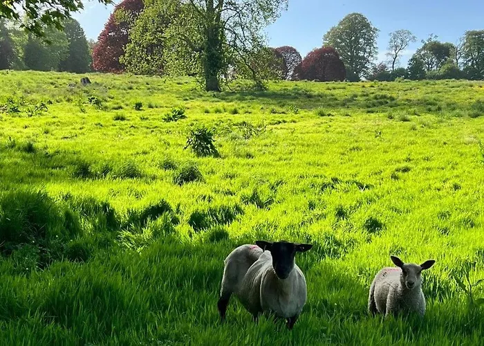 Damson Gate Dog-friendly Waterford