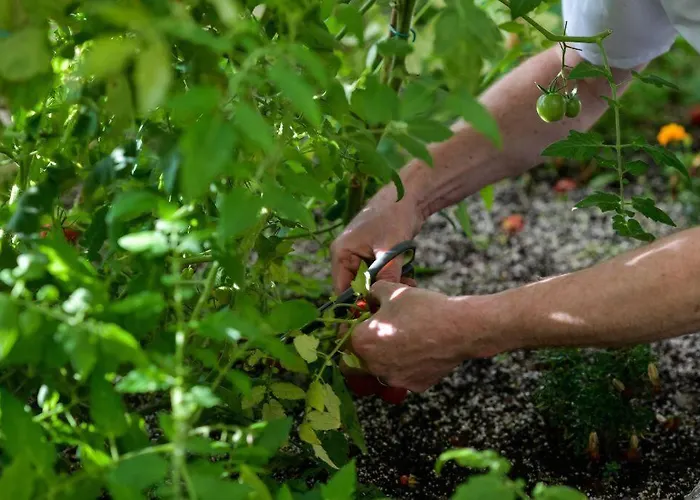 Damson Gate Dog-friendly Villa