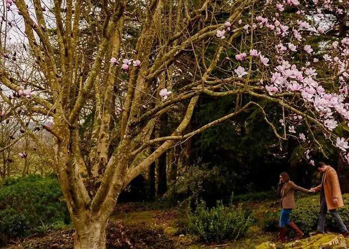 Damson Gate Dog-friendly Waterford