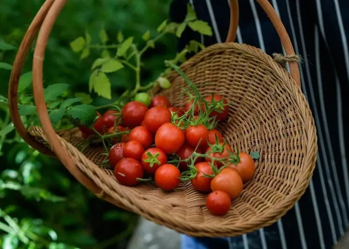 Damson Gate Dog-friendly * Waterford