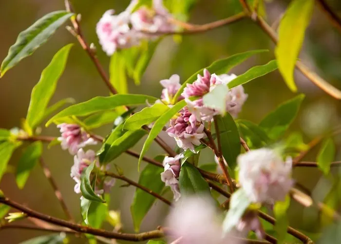 Villa Damson Gate Dog-friendly