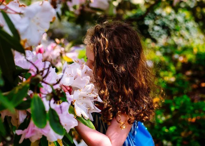 Damson Gate Dog-friendly