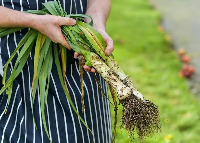 Damson Gate Dog-friendly Villa