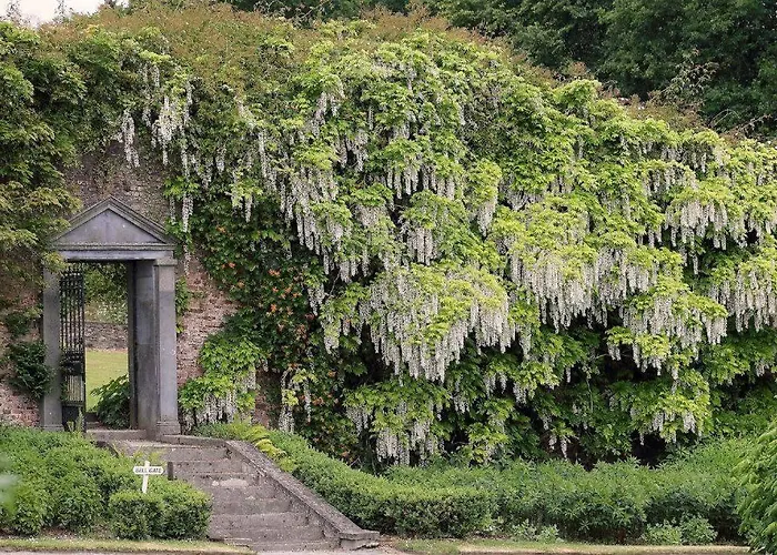 Villa Damson Gate Dog-friendly *