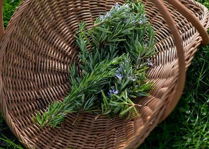 Villa Damson Gate Dog-friendly Waterford