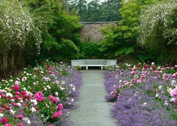 Damson Gate Dog-friendly Villa *