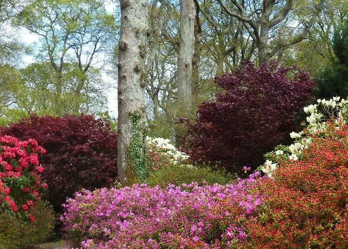 Villa Damson Gate Dog-friendly