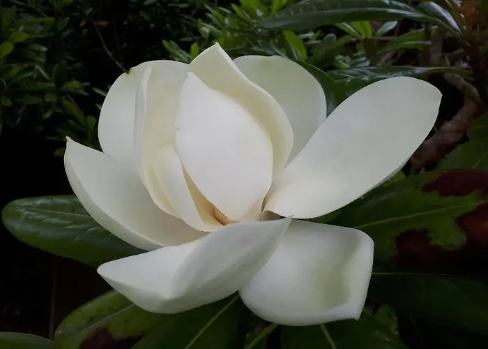 Villa Damson Gate Dog-friendly *