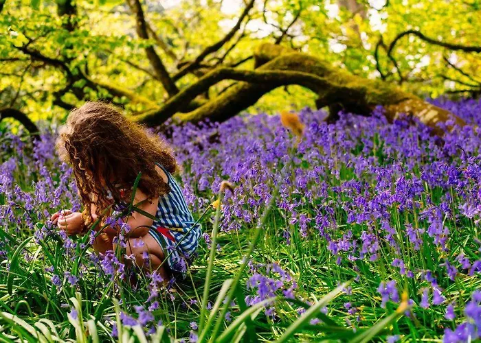 Villa Damson Gate Dog-friendly Waterford