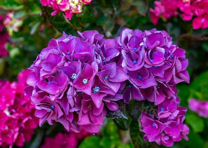 Damson Gate Dog-friendly