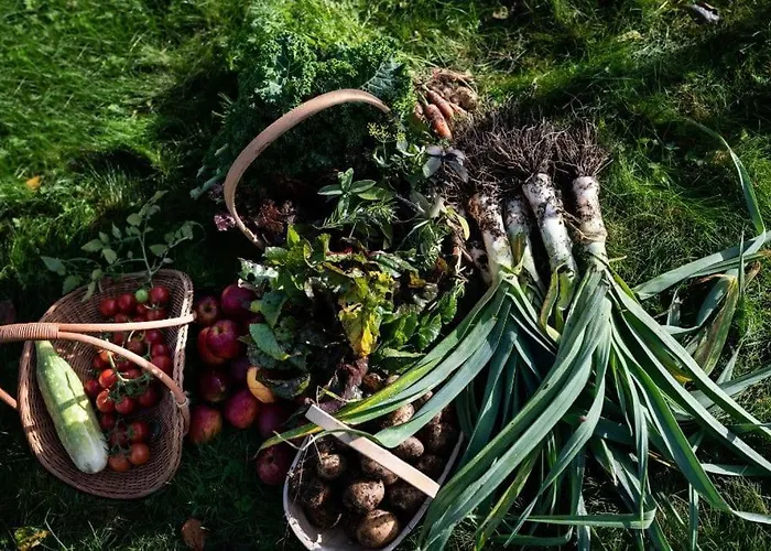 Damson Gate Dog-friendly Villa Waterford